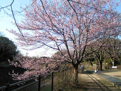 c0112172_215591.jpg