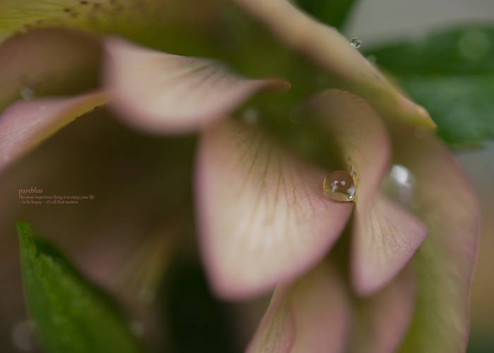 b0243873_11275364.jpg