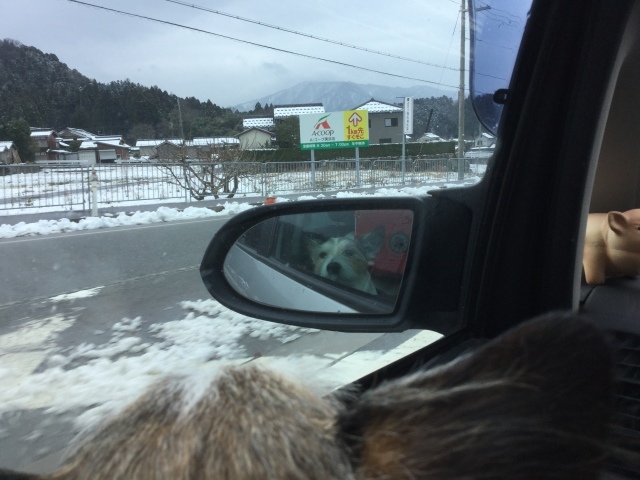 a0118079_23215434.jpeg