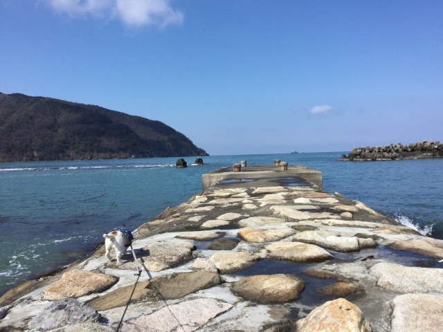 a0118079_23251603.jpeg
