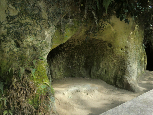 e0027681_16561768.jpg