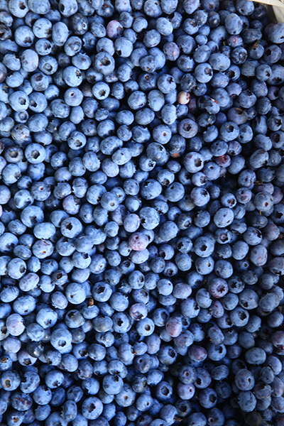 c0214190_14584314.jpg