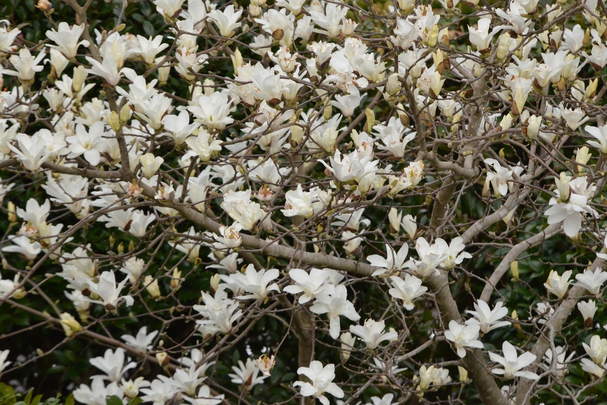 f0268294_10204121.jpg
