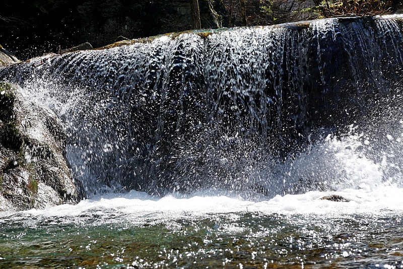 c0339900_2061894.jpg