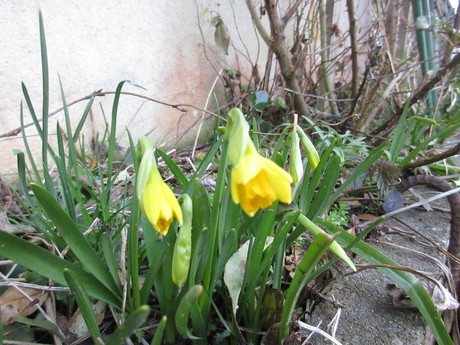 a0203003_21123735.jpg