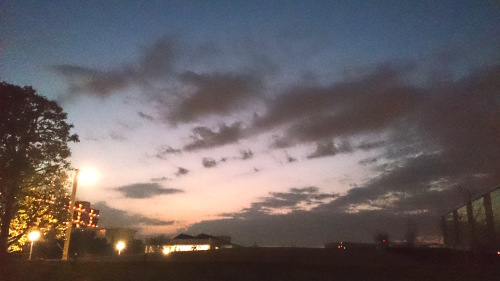 c0023016_22480990.jpg
