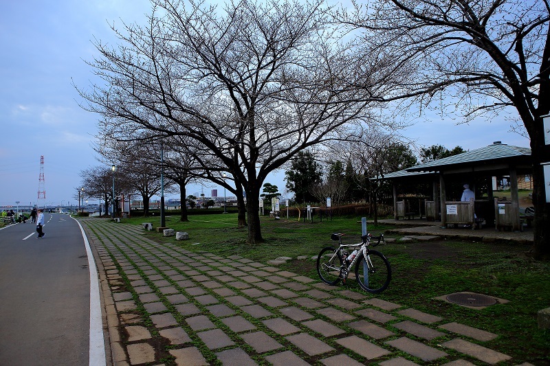 e0341417_10155336.jpg