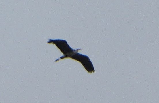 c0280322_20182513.jpg