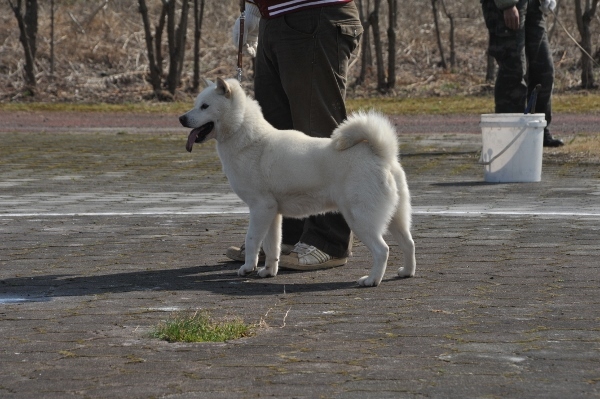 f0143123_10493540.jpg