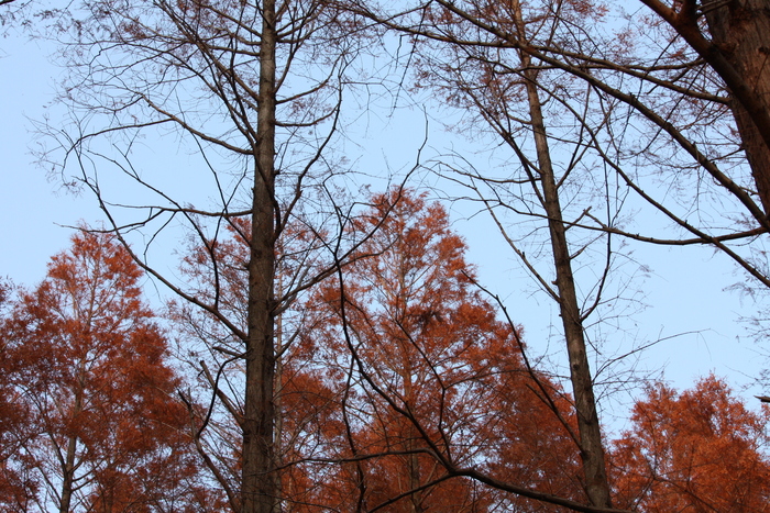 a0214329_8503337.jpg