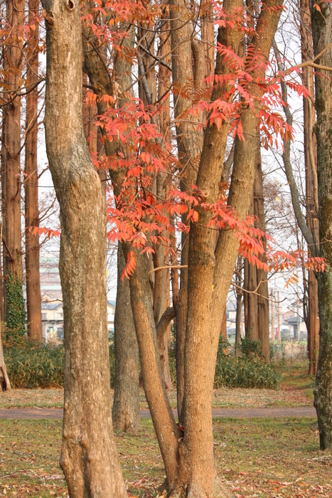 a0214329_85547.jpg