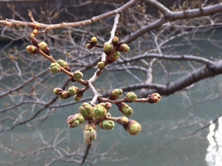 c0051529_21504176.jpg