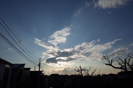 f0132230_1158505.jpg