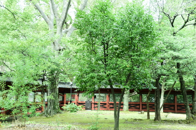 a0318033_13324177.jpg