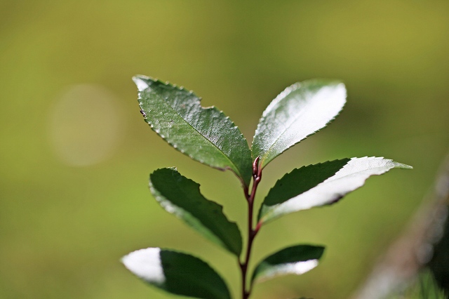 a0242438_17531949.jpg