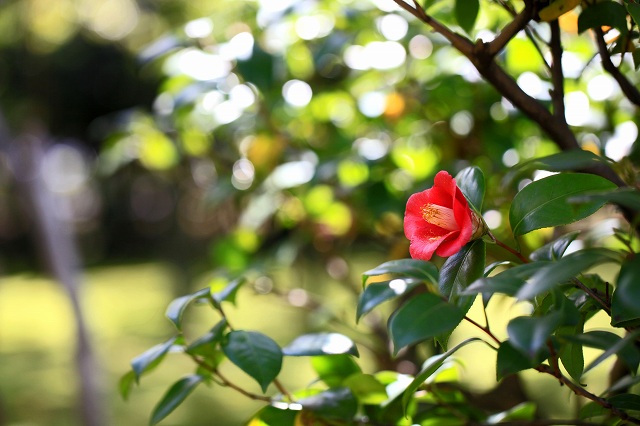 a0242438_1754199.jpg