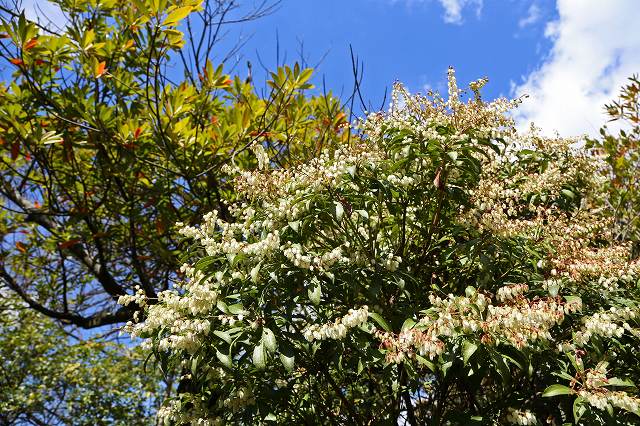 a0242438_17545763.jpg