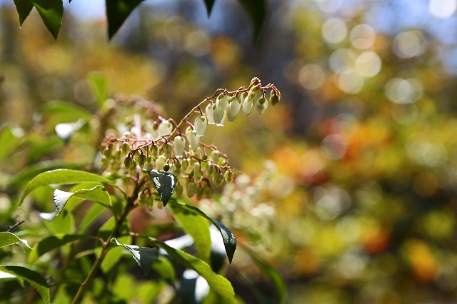 a0242438_17552575.jpg