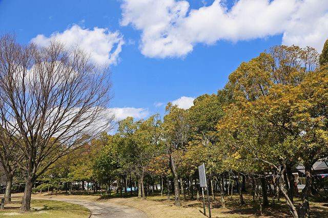 a0242438_1756173.jpg