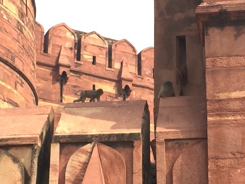 e0155643_23242251.jpeg