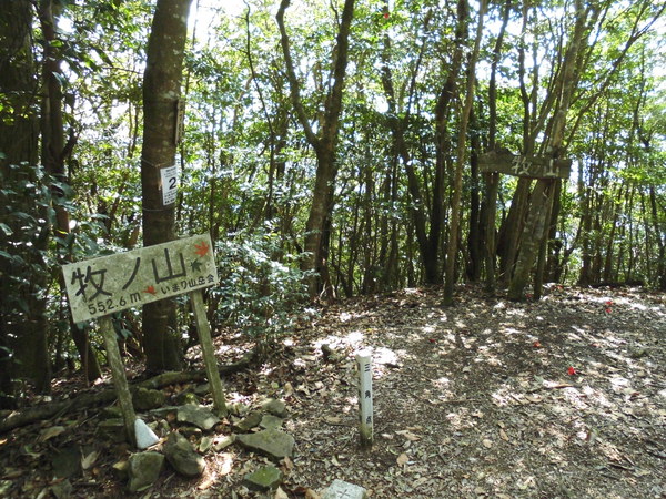 a0206345_1853423.jpg