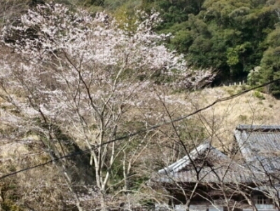 c0330749_22093194.jpg