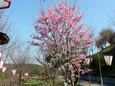 c0330749_22093357.jpg