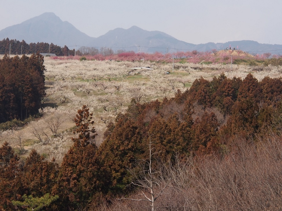 b0335256_16065285.jpg