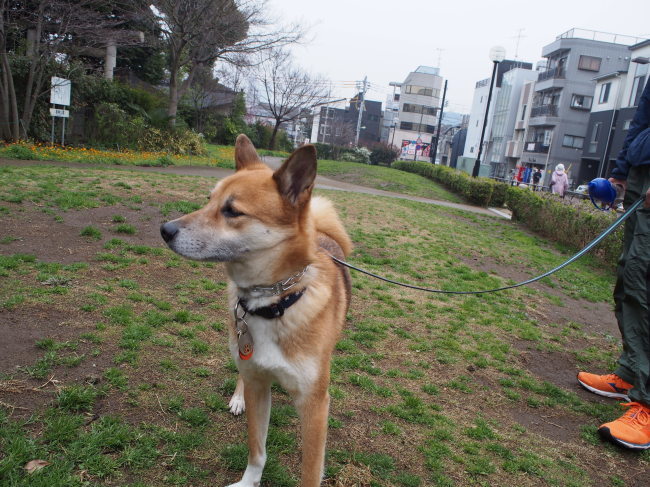 b0246876_01051422.jpg