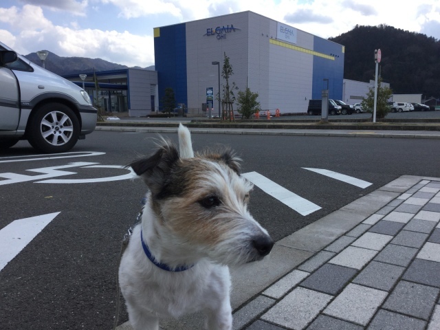a0118079_00051658.jpeg
