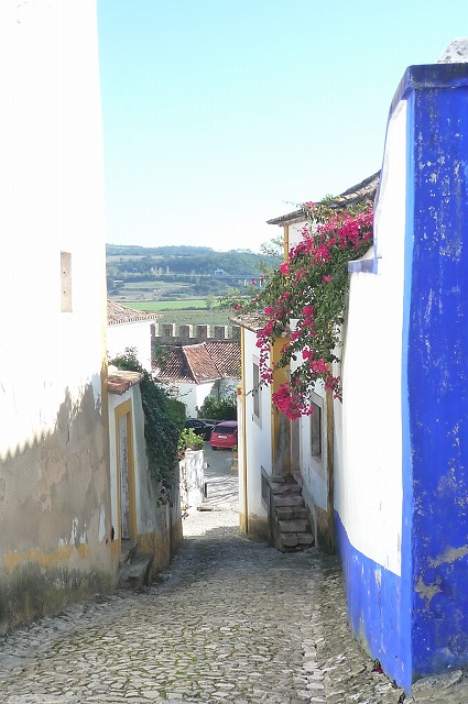 b0238886_1920463.jpg
