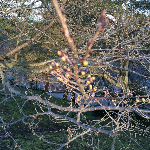 a0326292_22501657.jpg