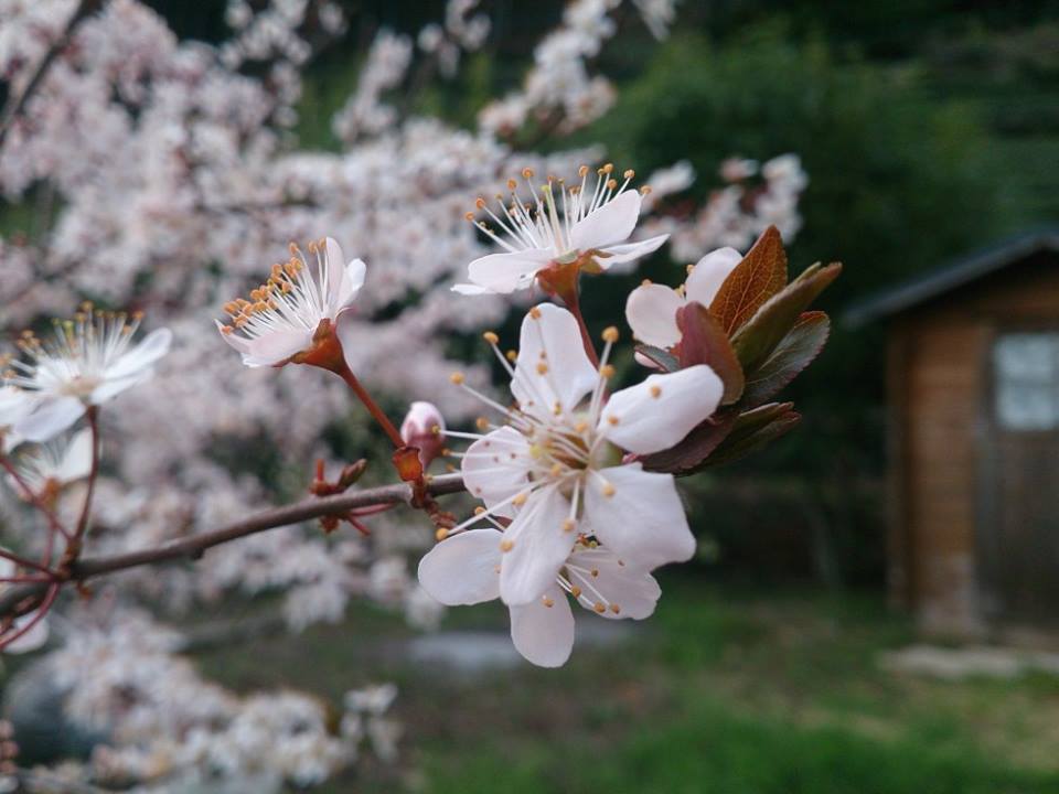 b0028299_21351257.jpg