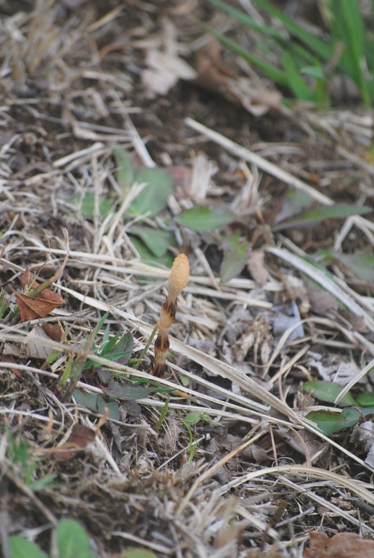 e0025300_20151868.jpg