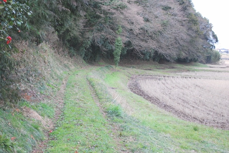 e0025300_2019516.jpg