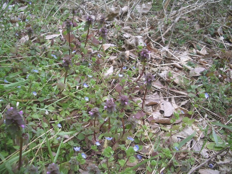 e0025300_208762.jpg