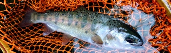 f0266202_06564263.jpg