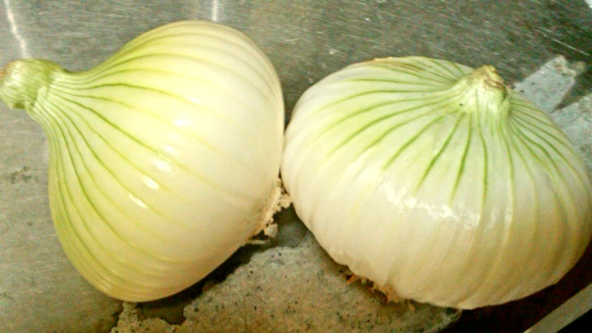 b0169403_184207.jpg