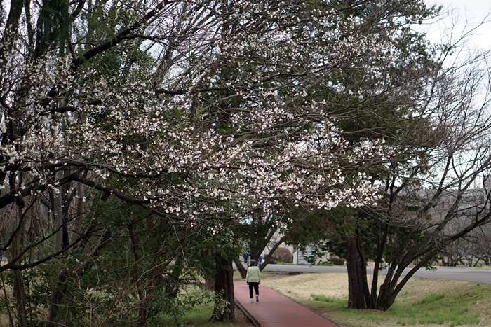 c0187503_12583377.jpg