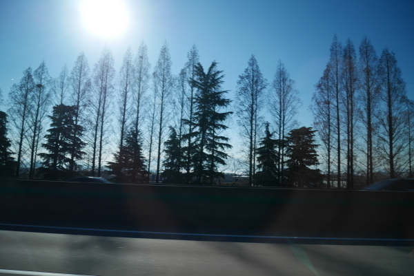 a0140305_00522868.jpg