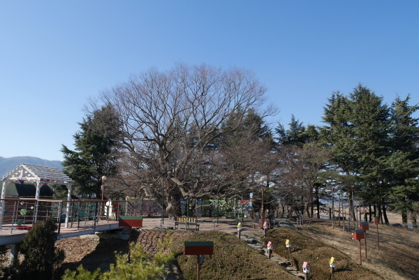 a0140305_01011134.jpg