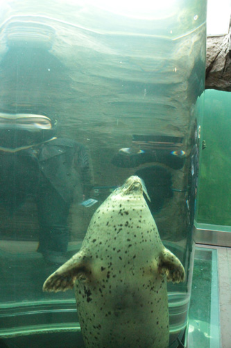 e0072606_20231846.jpg