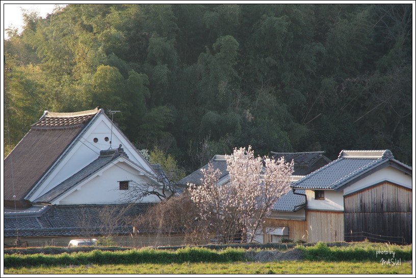 d0342307_22322584.jpg