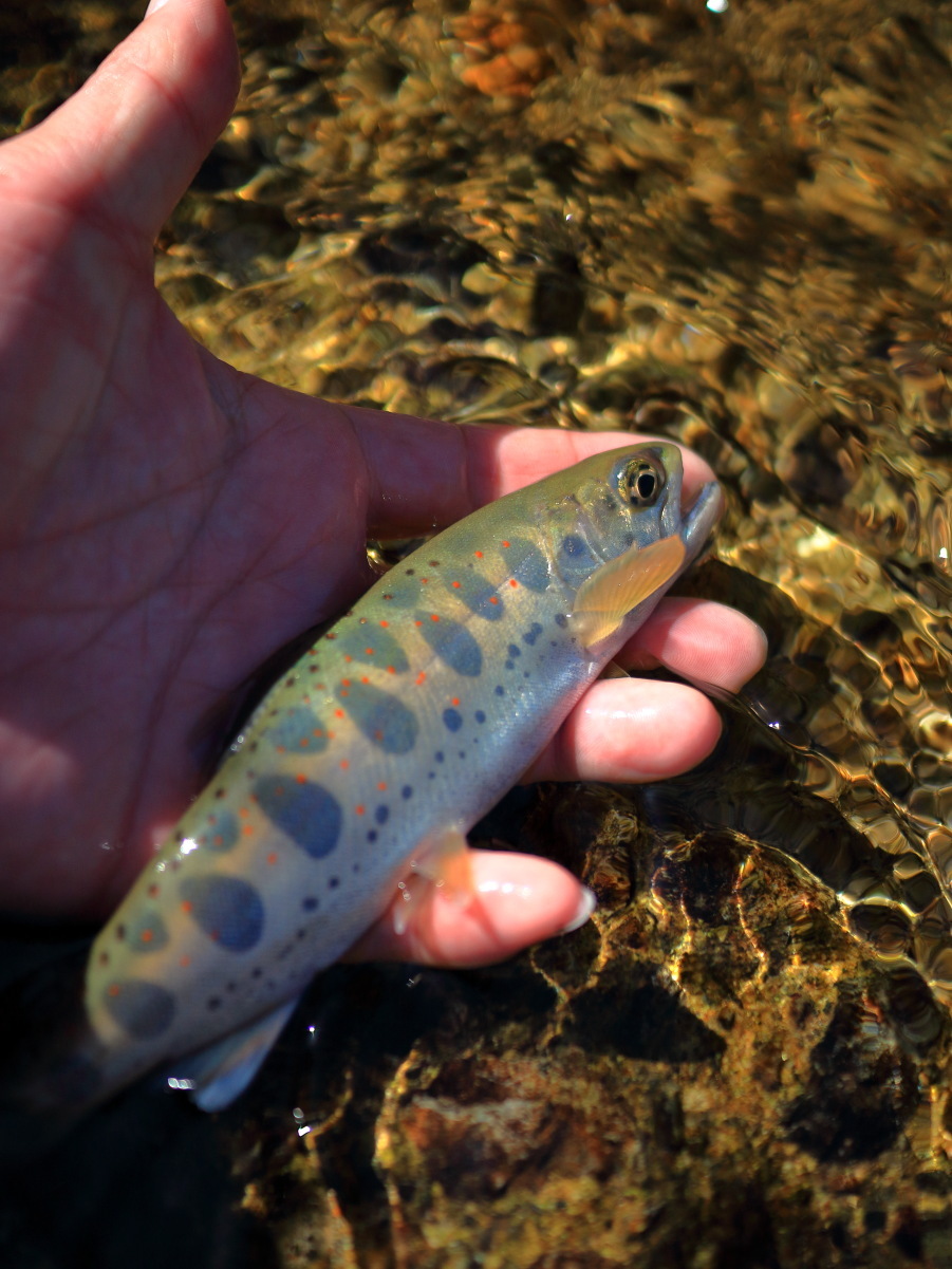 e0009009_22023237.jpg