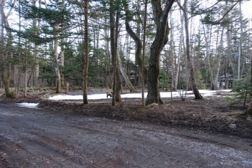 e0192217_80218.jpg