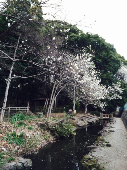 b0203925_14362143.jpg