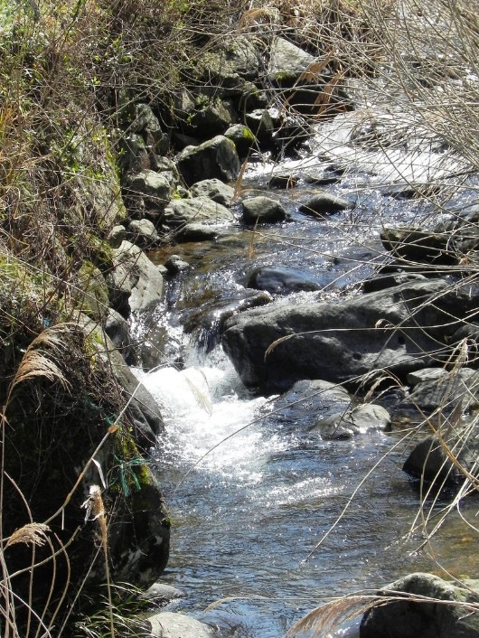 f0213825_15463618.jpg