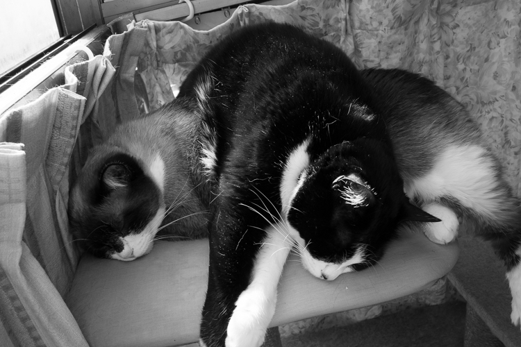 c0198227_171476.jpg