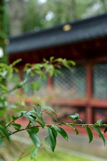 a0318033_23015481.jpg