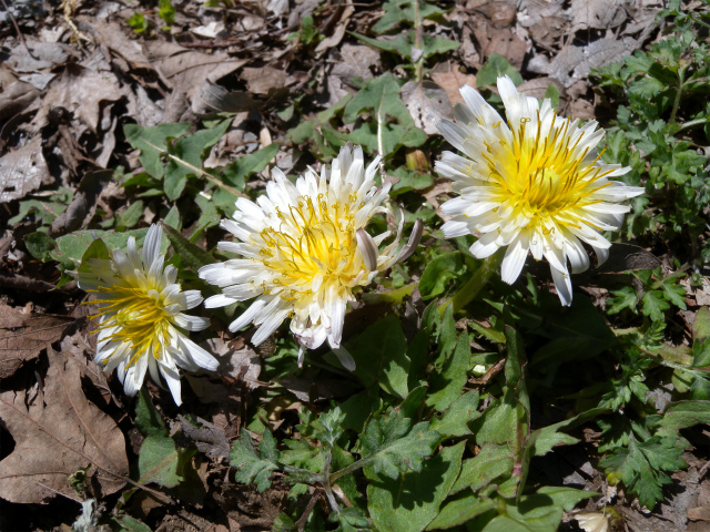 e0272335_2035469.jpg